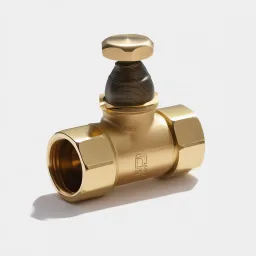 Alarm Check Valve